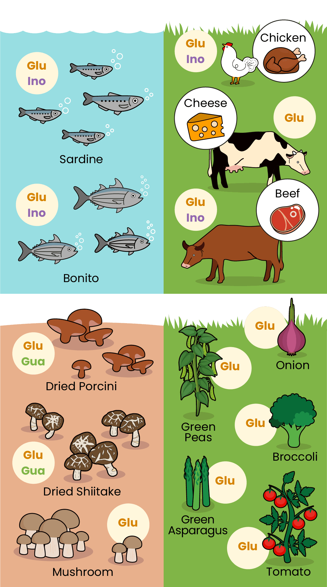 Umami Substances in Food